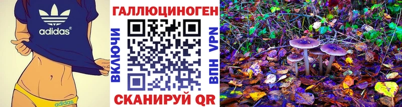 площадка клад  Баймак  Псилоцибиновые грибы прущие грибы  hydra ТОР 